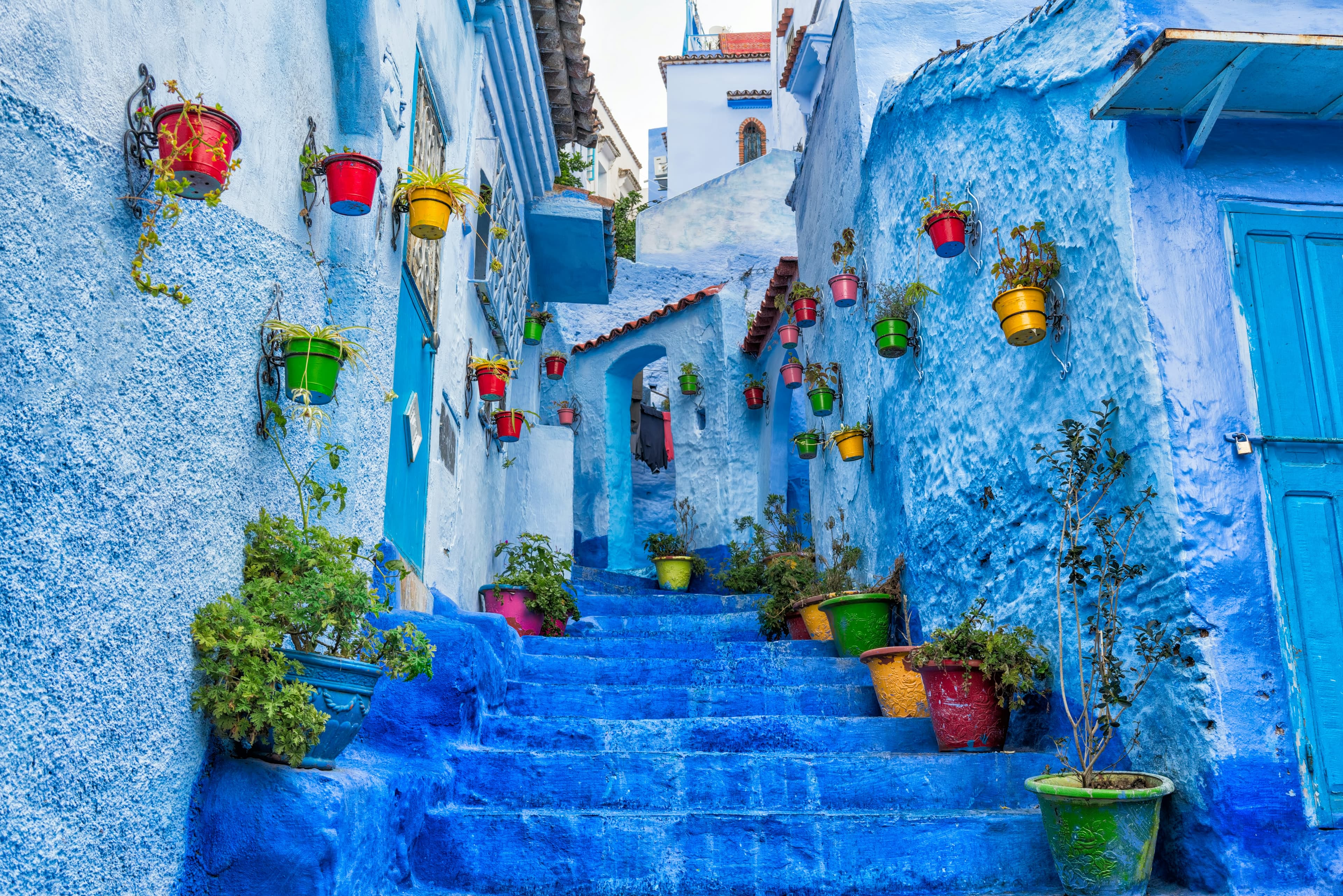 Chefchaouen blue street with colorful flower pots and stairs, Morocco