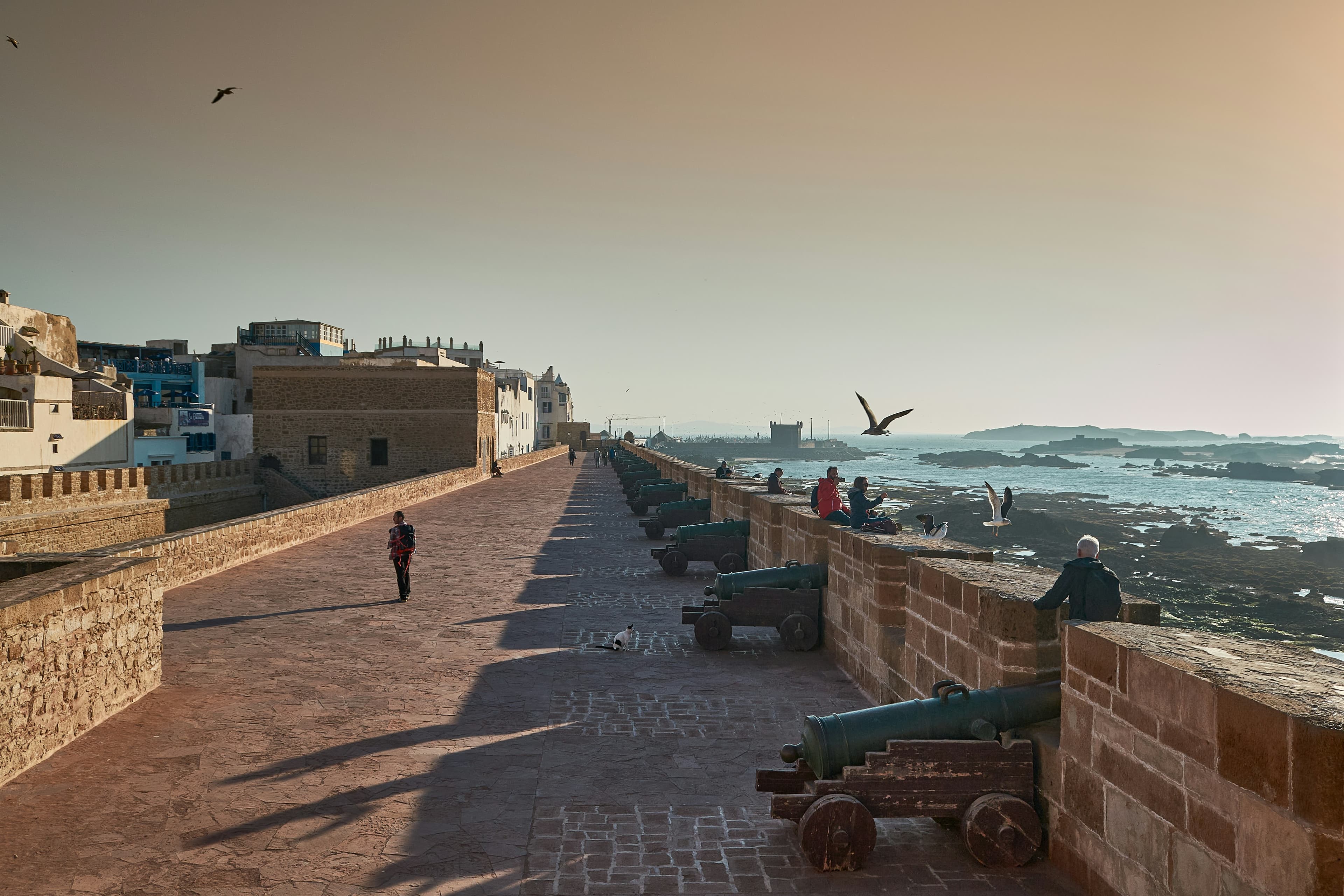Essaouira Skala de la Ville — Portuguese cannons on the Atlantic ramparts, Morocco