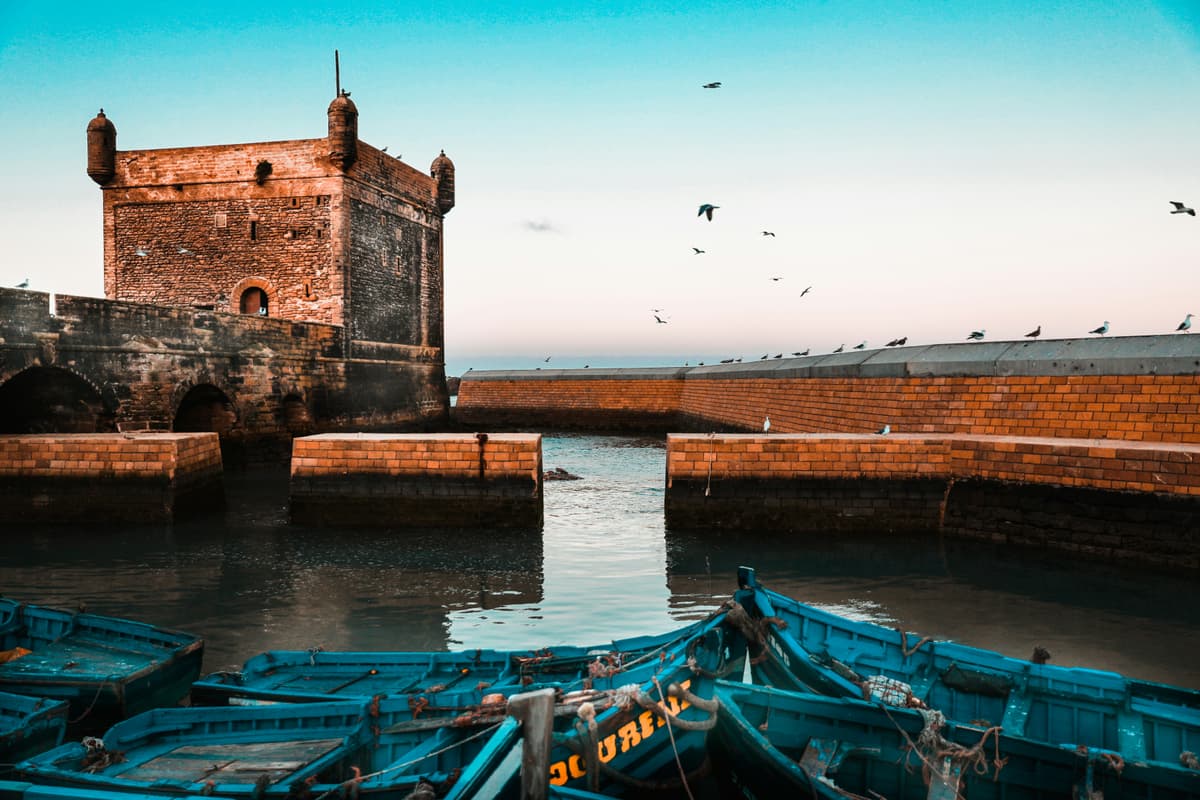 Essaouira Sqala du Port at sunset with blue fishing boats and seagulls, Morocco